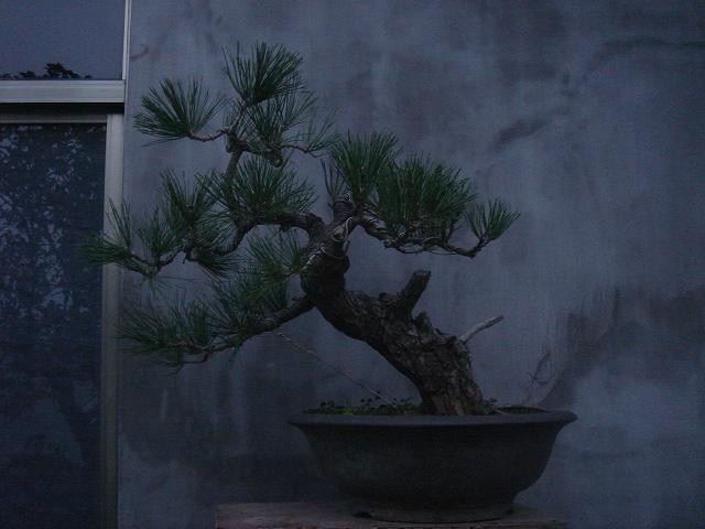 DSC06610.JPG