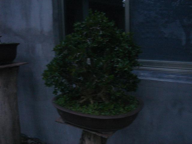 DSC06611.JPG