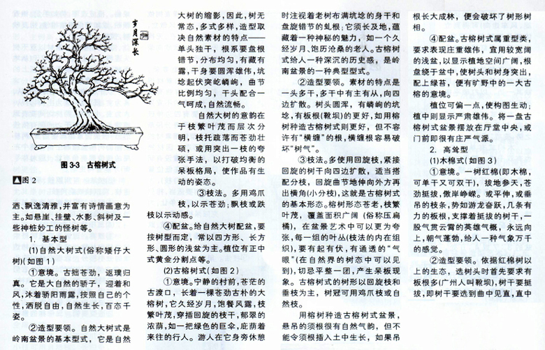 С辰13.jpg