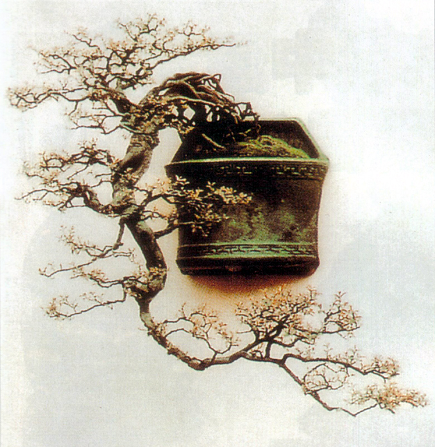 ڲ- ȸ÷.jpg
