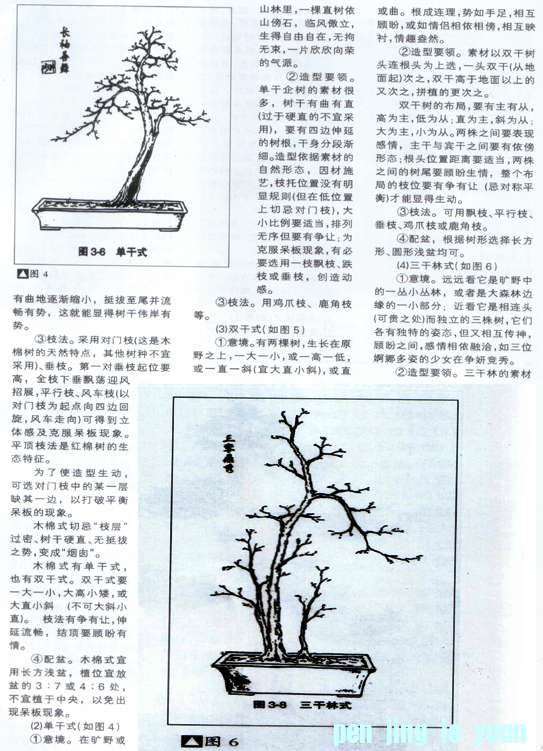 С辰14.jpg