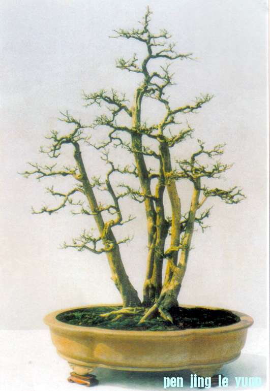 -ӵǿ 110.jpg