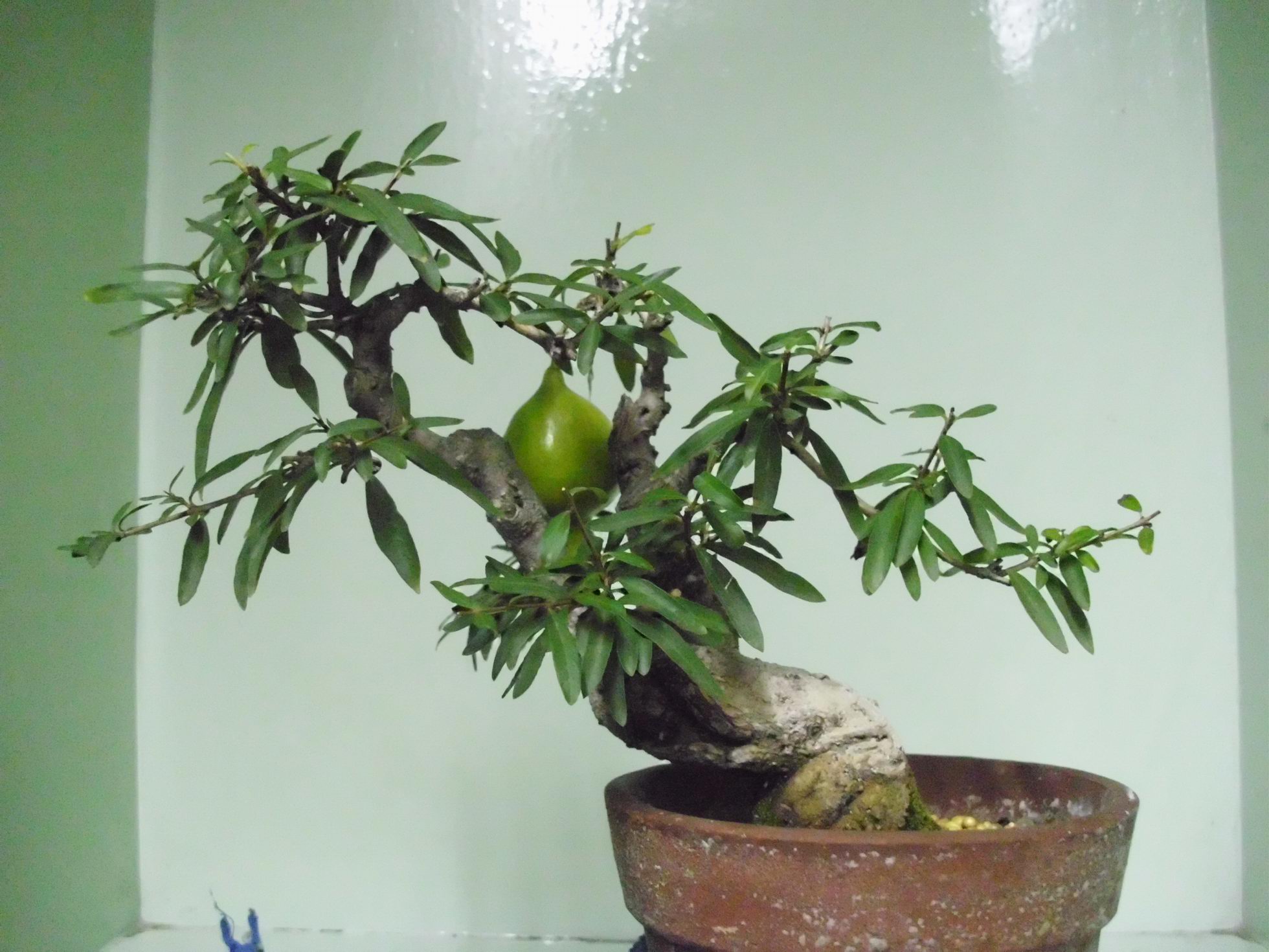 DSCI0930.JPG