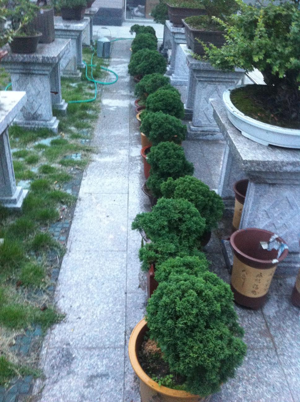 20120923.jpg