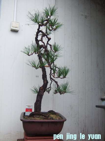 DSCF6748.jpg
