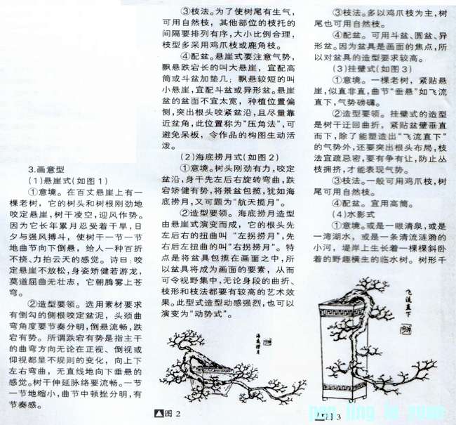 С辰16.jpg
