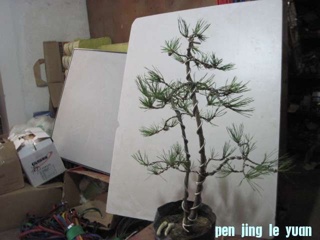 2012-09-25 005.jpg