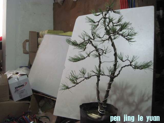 2012-09-25 006.jpg