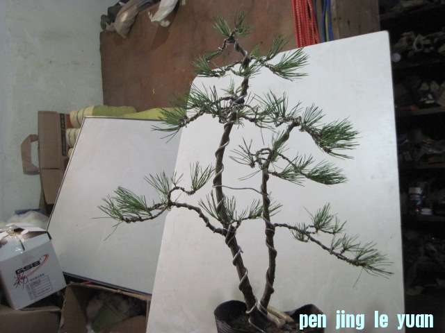 2012-09-25 007.jpg