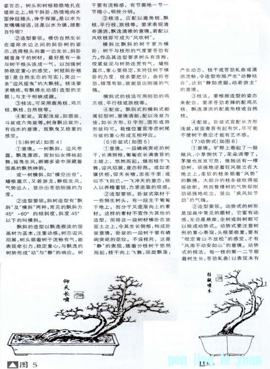 С辰17.jpg