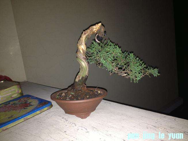 Ƭ0808 123.jpg