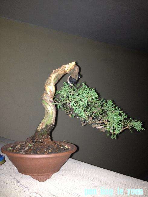 Ƭ0808 124.jpg