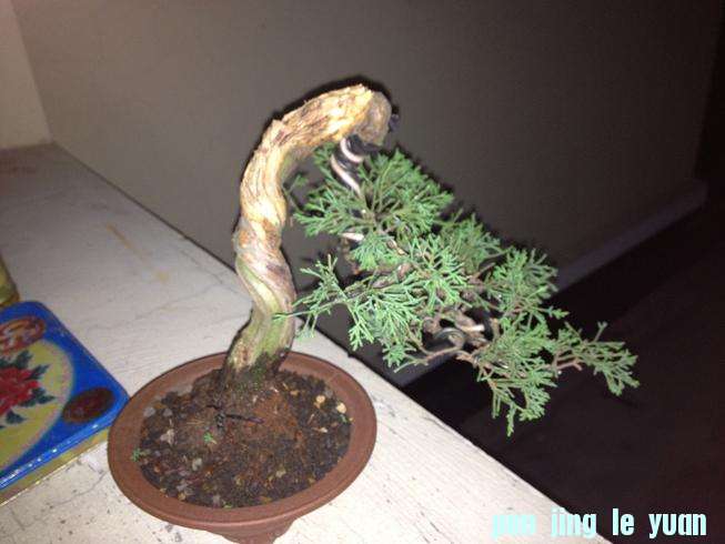 Ƭ0808 125.jpg