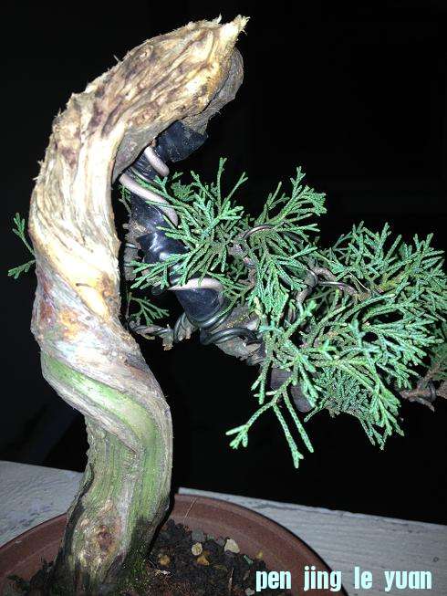 Ƭ0808 126.jpg