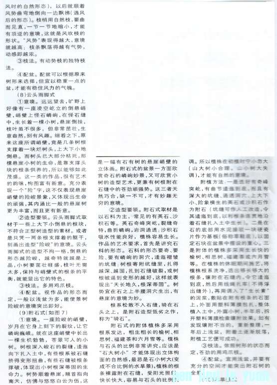 С辰18.jpg