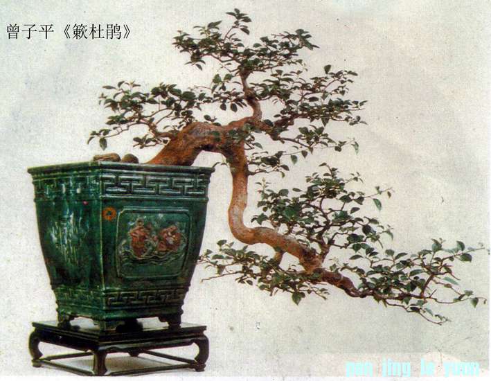 ƽž顷.jpg