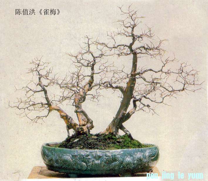 ֵ顶ȸ÷.jpg