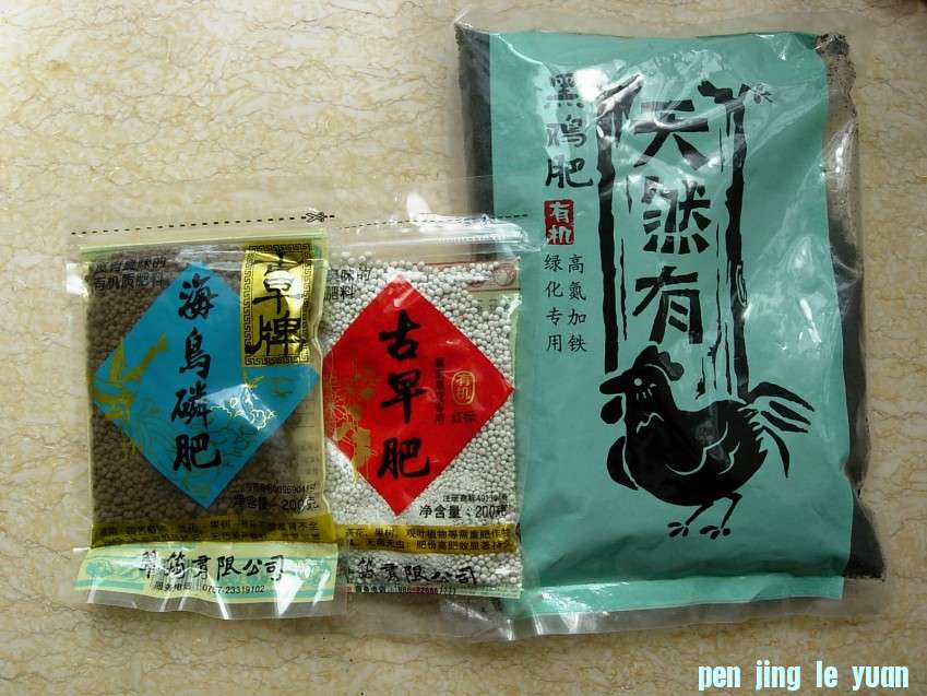 DSCN8169_conew1.JPG