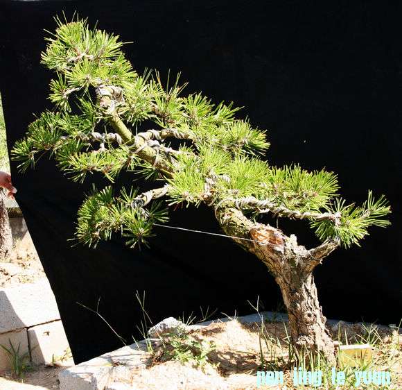 Ƭ 044.jpg