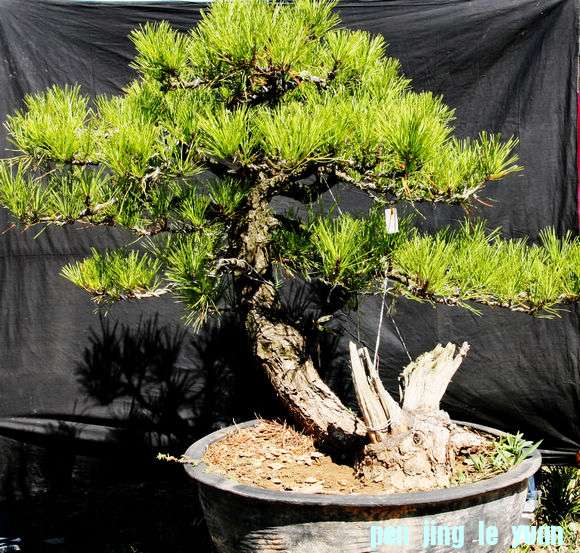 Ƭ 079.jpg