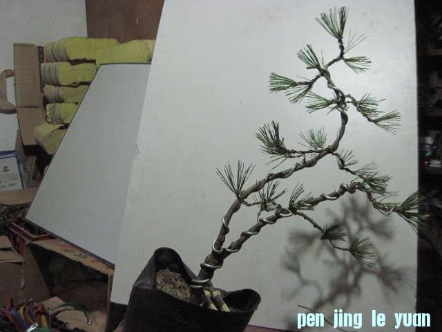 2012-09-28 005.jpg