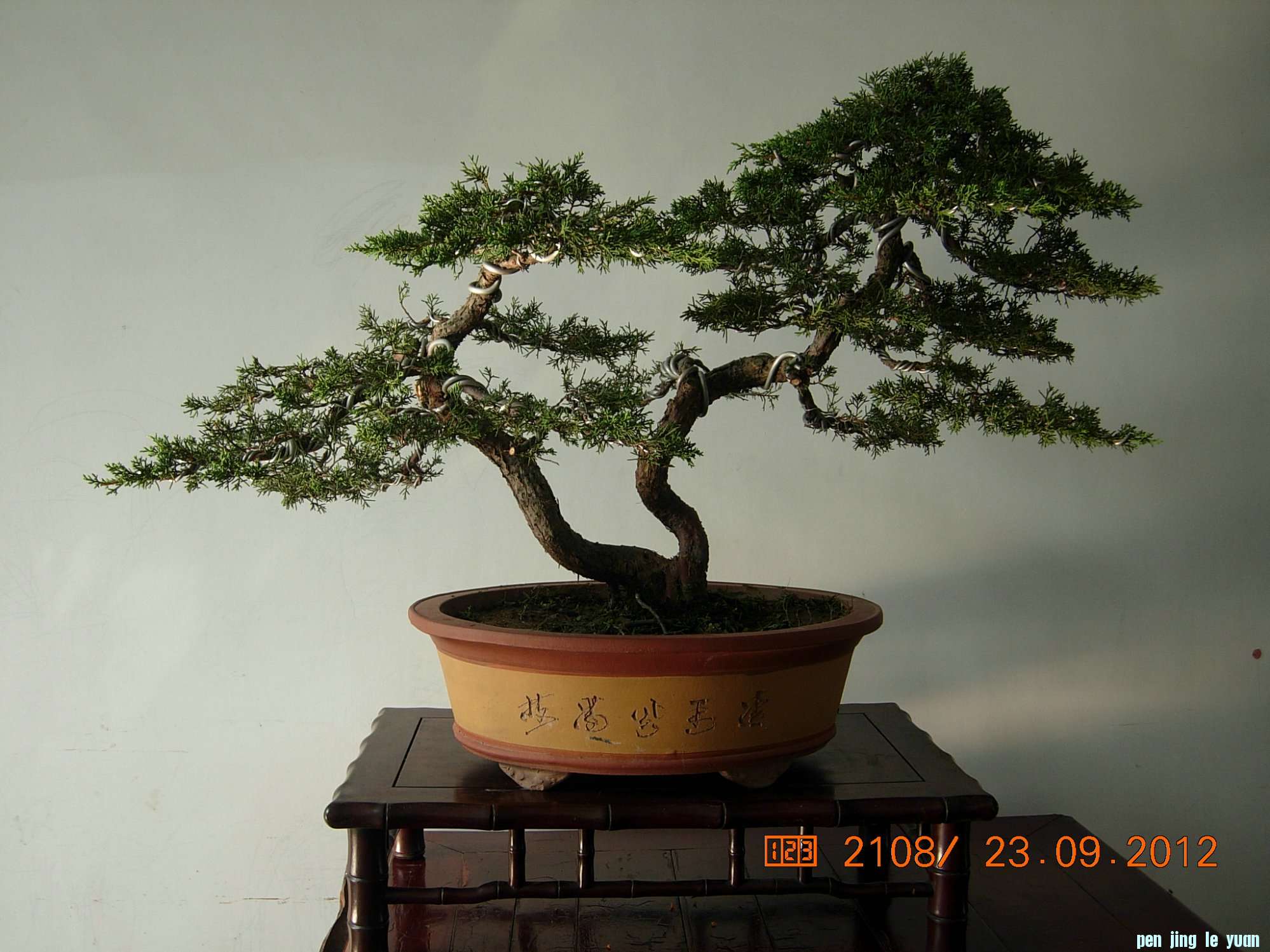 DSCN6337.JPG