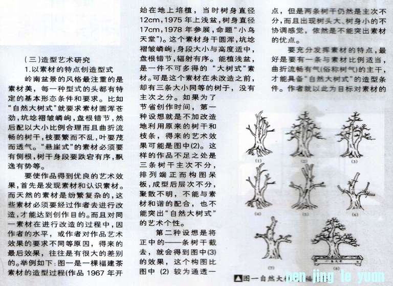 С辰 20.jpg
