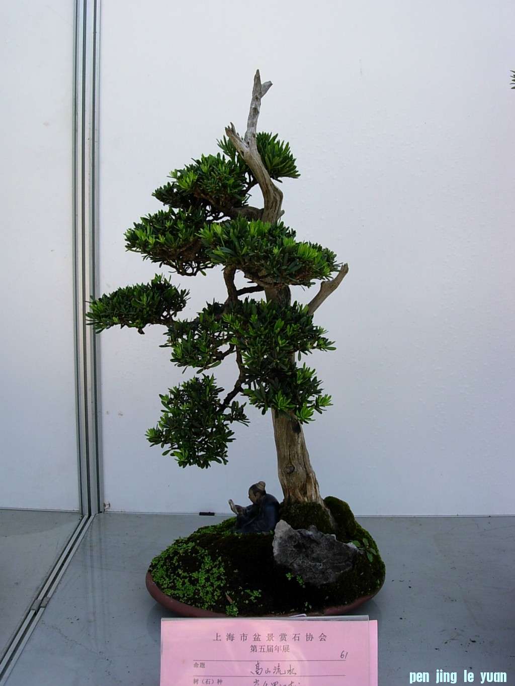 conew_dscn8192.jpg