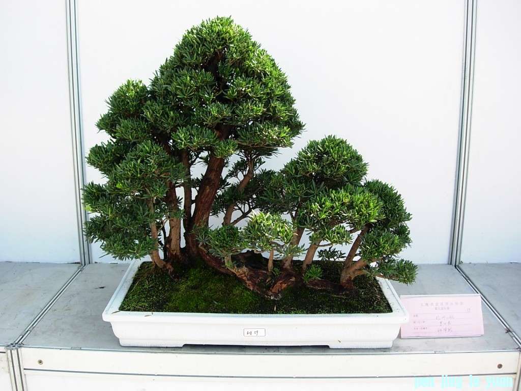conew_dscn8211.jpg