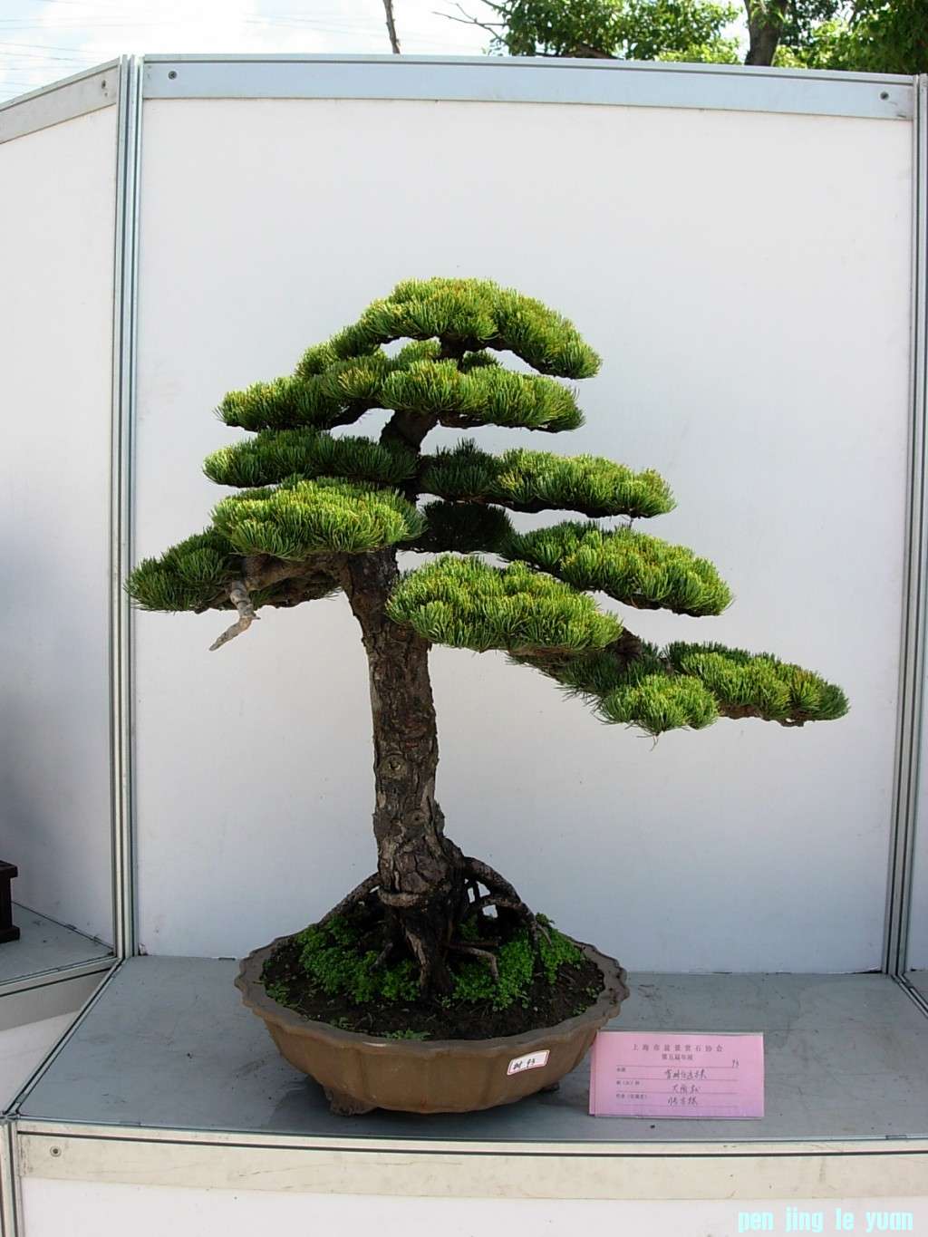 conew_dscn8212.jpg
