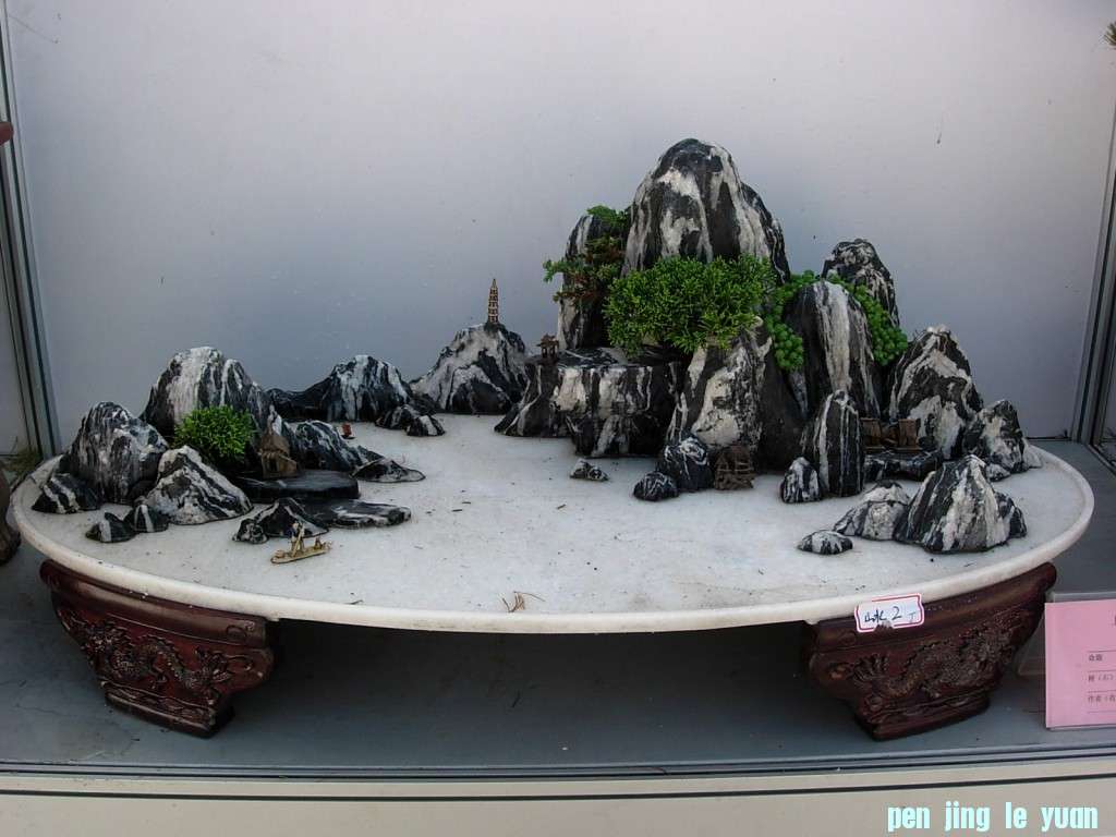 conew_dscn8215.jpg