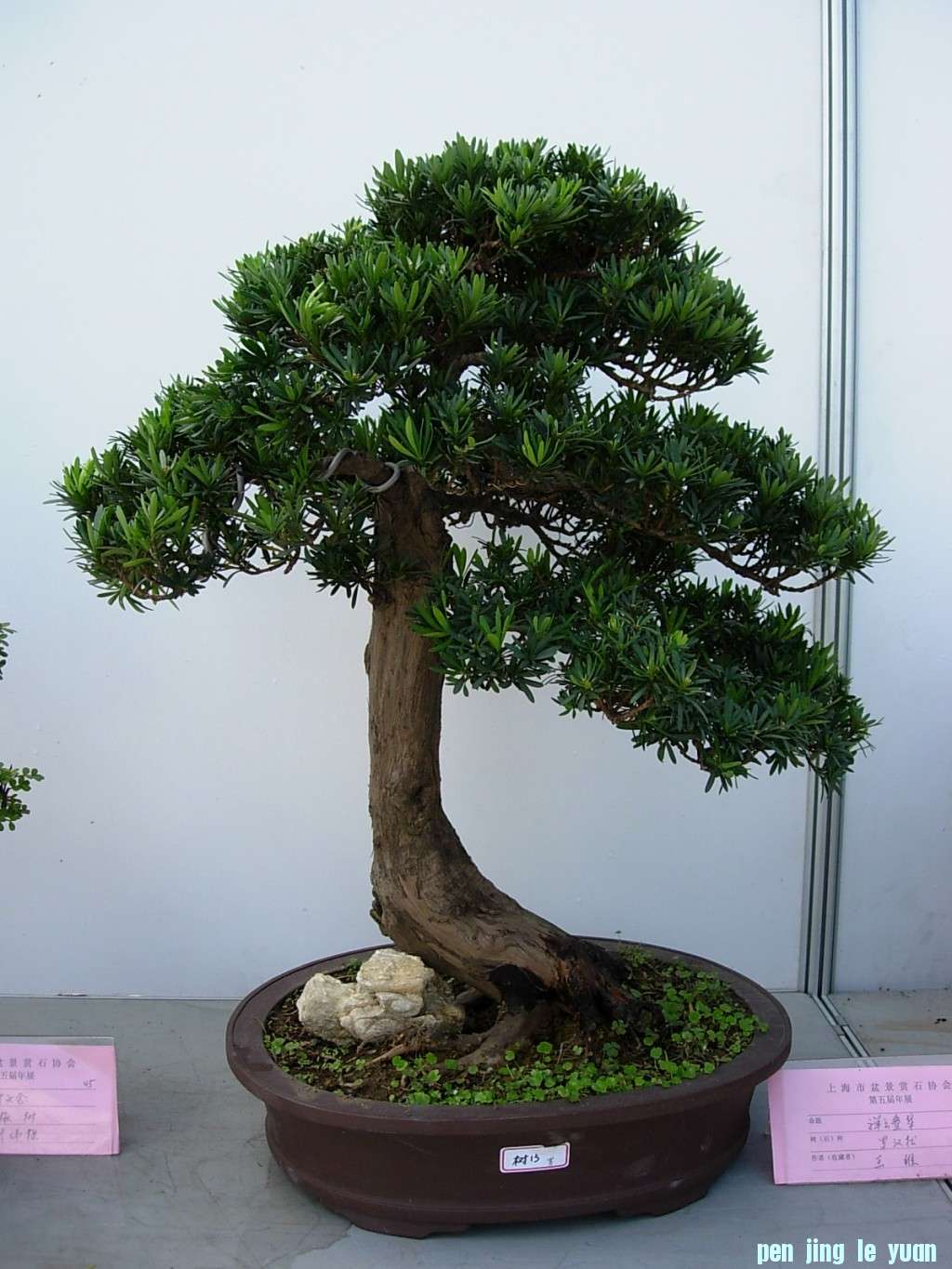 conew_dscn8226.jpg