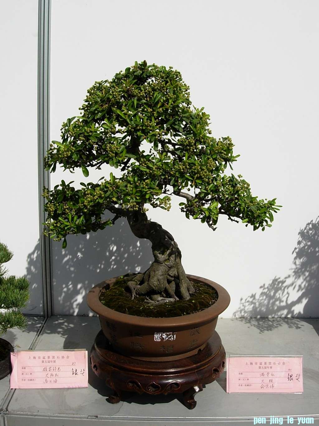 conew_dscn8273.jpg