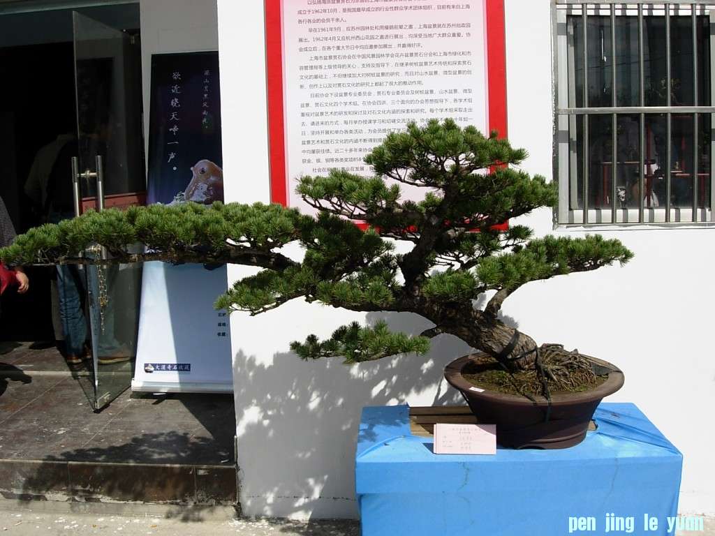 conew_dscn8291.jpg