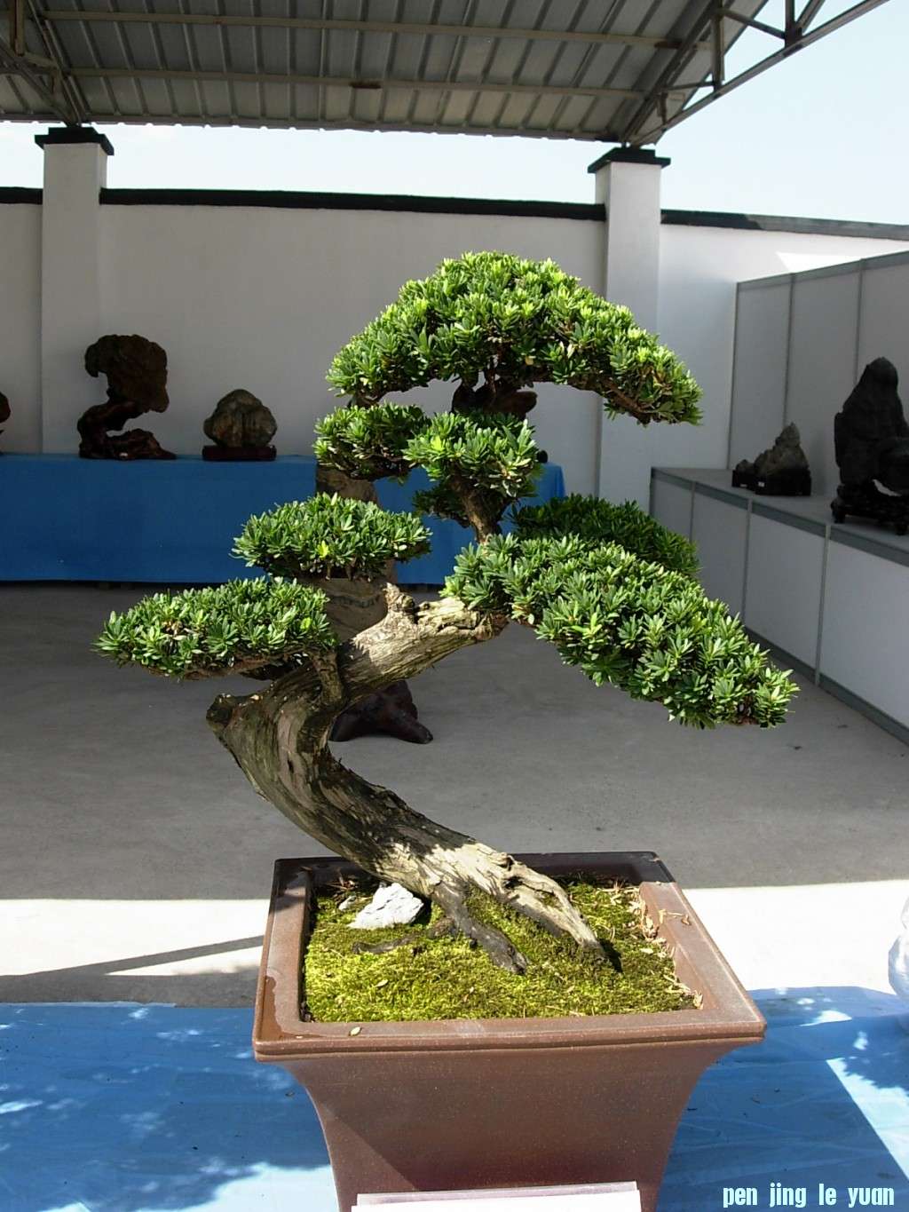 conew_dscn8295.jpg