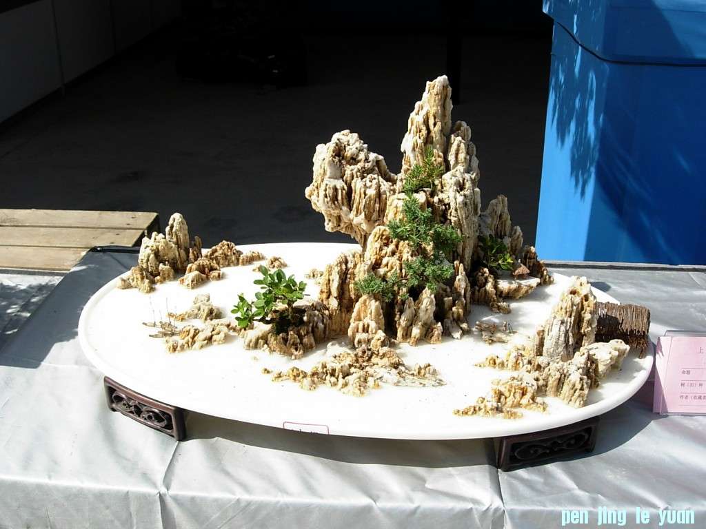 conew_dscn8319.jpg
