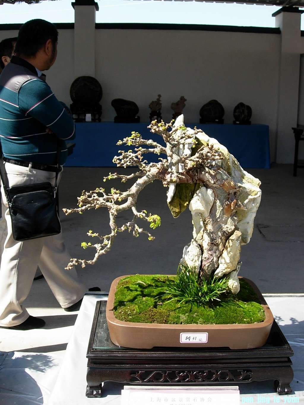 conew_dscn8325.jpg