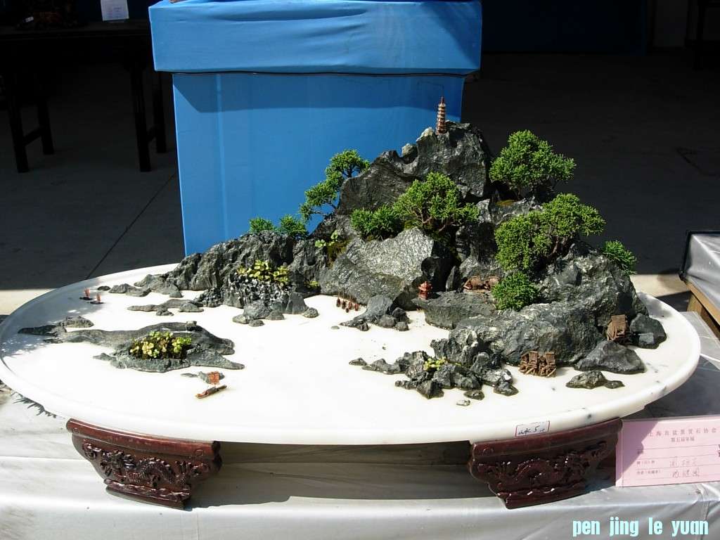 conew_dscn8326.jpg