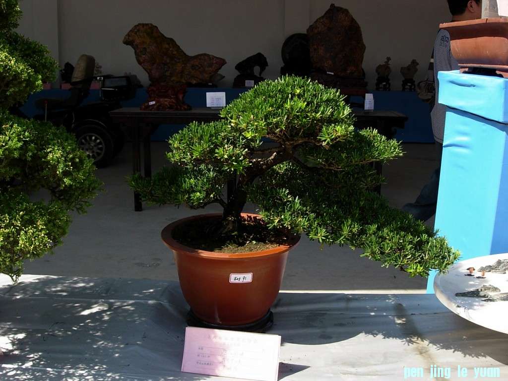 conew_dscn8327.jpg