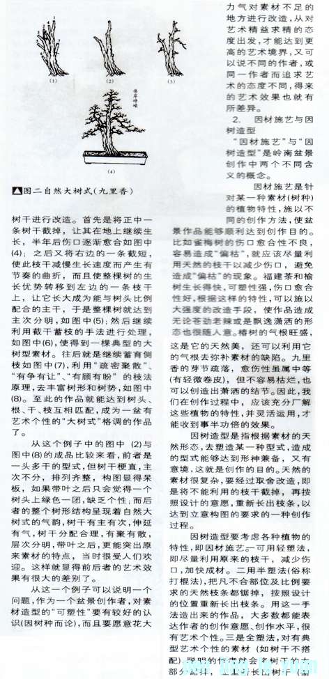 С辰 21.jpg