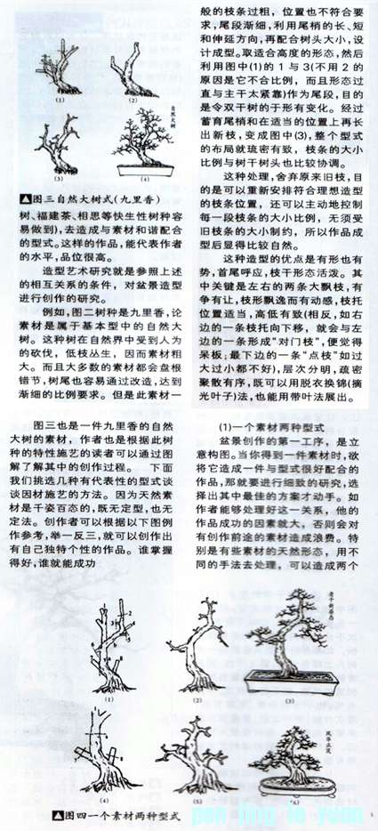 С辰 22.jpg