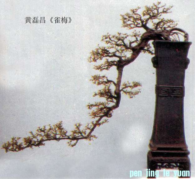 ڲȸ÷.jpg