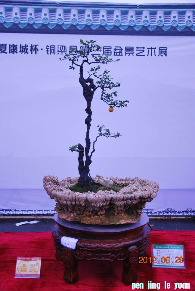 DSC_1203.JPG