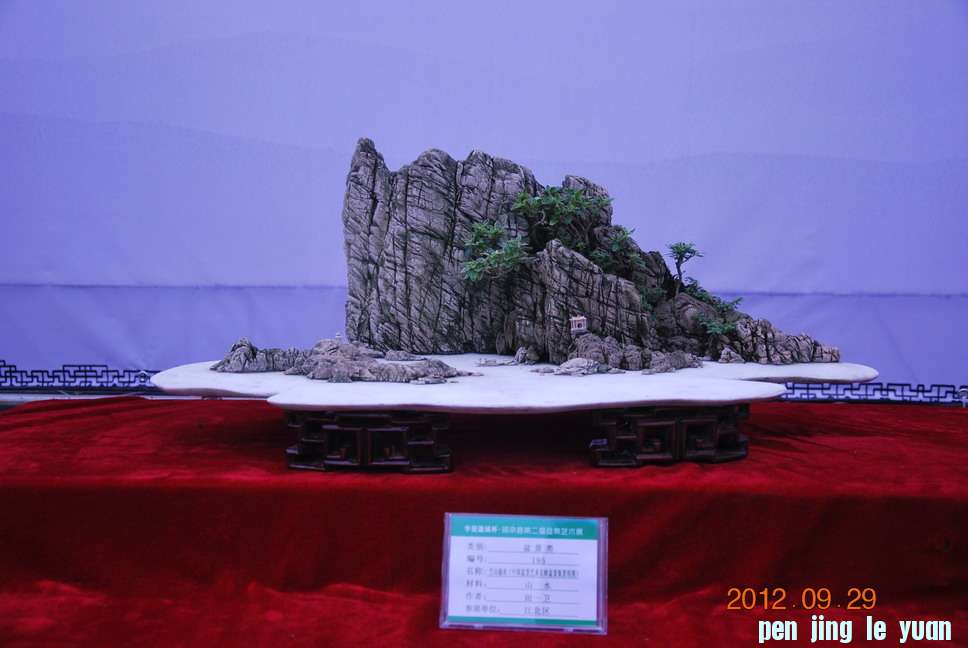 DSC_1194.JPG