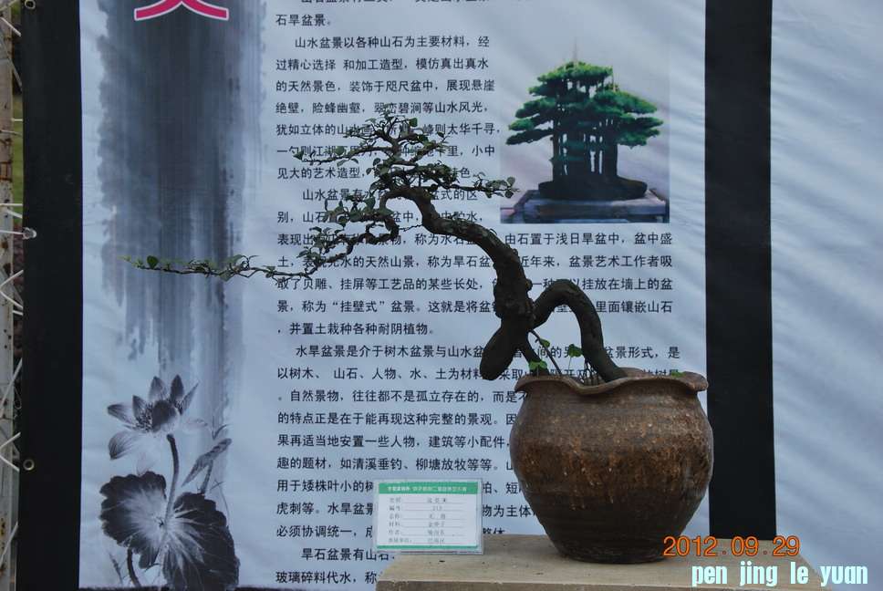 DSC_1319.JPG