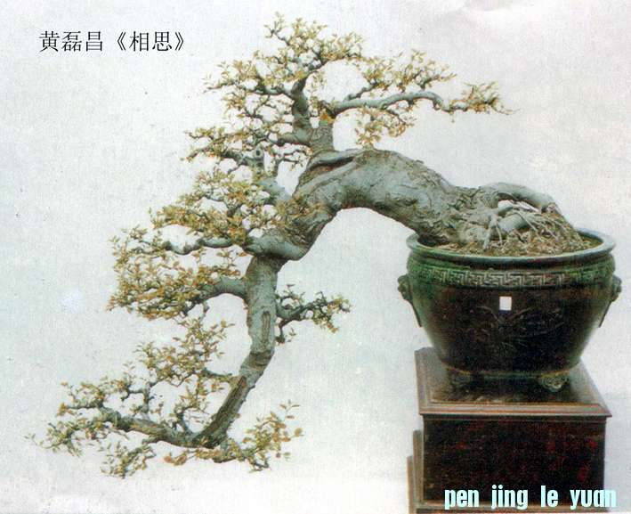 ڲ˼.jpg