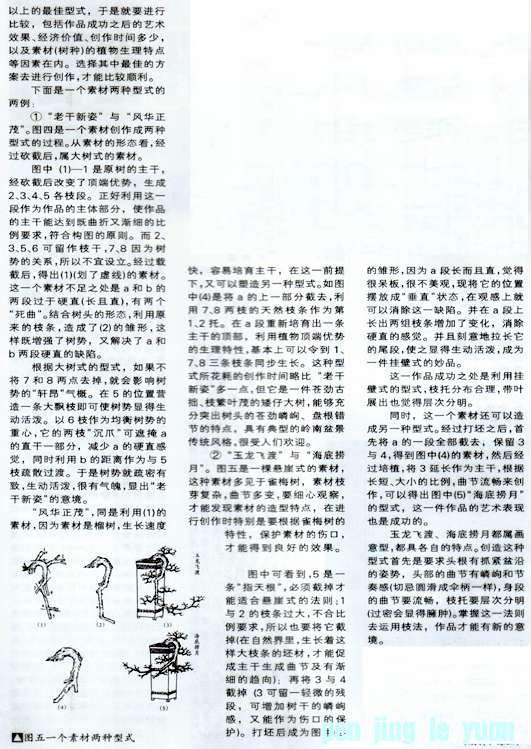 С辰 23.jpg