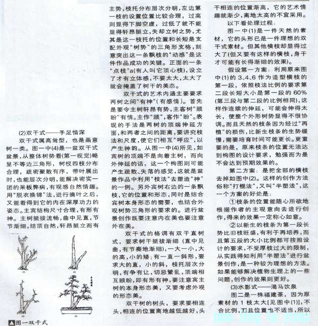 С辰24.jpg