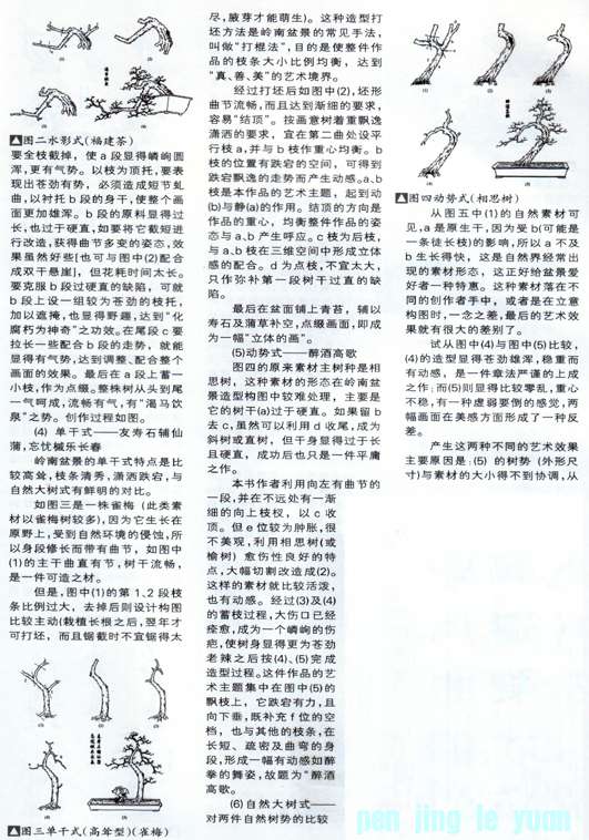 С辰25.jpg