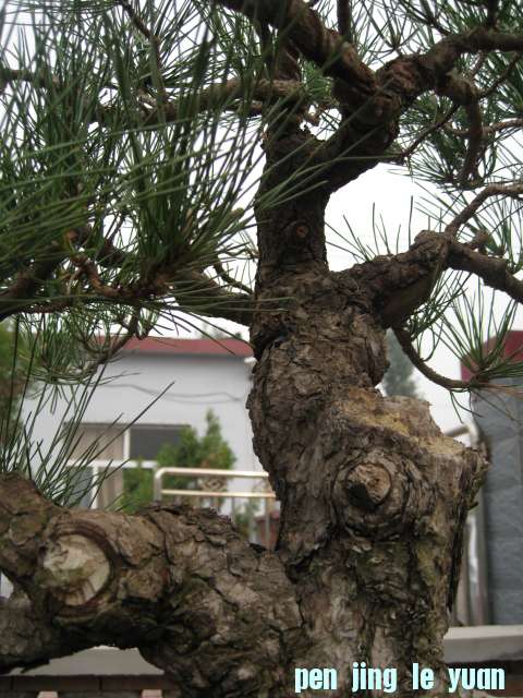 IMG_6407.JPG